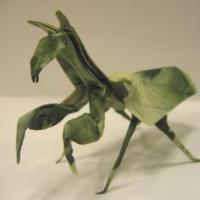 
<span>Praying Mantis</span>
