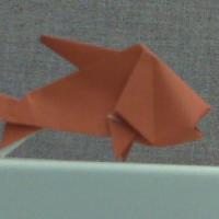 
<span>Fish</span>
