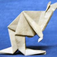 
<span>Kangaroo</span>
