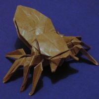
<span>Tarantula</span>

