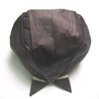 
<span>Giant Clam</span>
