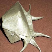 
<span>Spider Conch</span>
