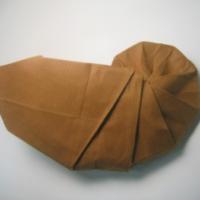 
<span>Chambered Nautilus Shell</span>
