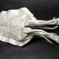 
<span>Cuttlefish</span>
