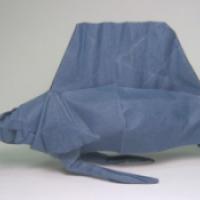 
<span>Sailfish</span>

