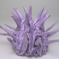 
<span>Atlantic Purple Sea Urchin</span>
