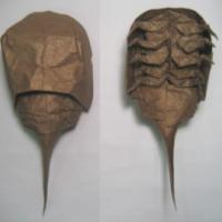 
<span>Horseshoe Crab</span>
