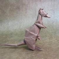 
<span>Kangaroo</span>

