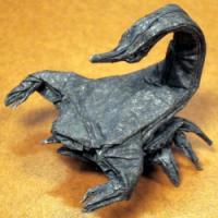 
<span>Scorpion</span>
