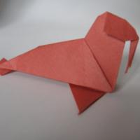 
<span>Walrus</span>
