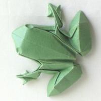 
<span>Frog</span>
