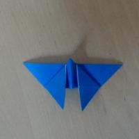 
<span>Butterfly</span>
