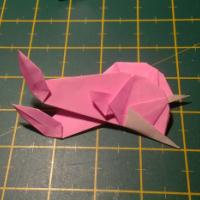 
<span>Dolphins</span>
