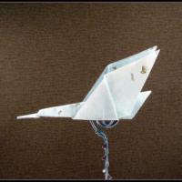 
<span>Goose in Flight</span>
