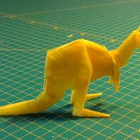 
<span>Kangaroo</span>
