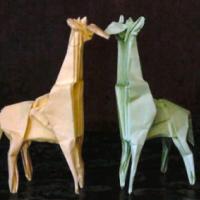 
<span>Giraffe</span>
