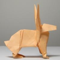 
<span>Jack Rabbit</span>
