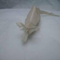 
<span>Mouse</span>

