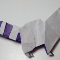 
<span>Racoon</span>

