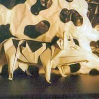 
<span>Holstein Cow</span>
