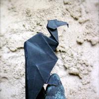 
<span>Vulture</span>
