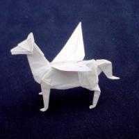 
<span>Pegasus</span>
