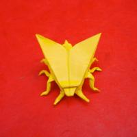 
<span>Moth</span>
