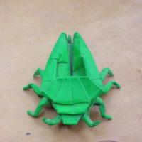 
<span>Stink Bug</span>
