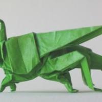 
<span>Grasshopper</span>
