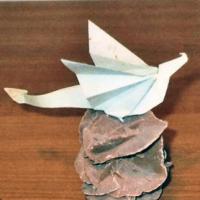 
<span>Drragon</span>
