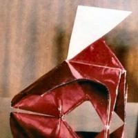 
<span>Pajarita con capa</span>
