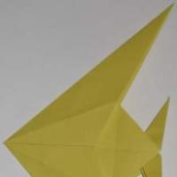 
<span>Angelfish</span>
