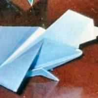 
<span>Pajaro cabezon</span>
