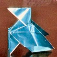 
<span>Pajarita alada</span>
