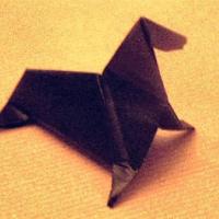 
<span>Seal</span>

