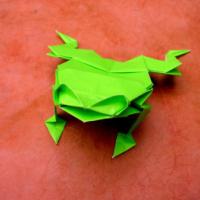 
<span>Frog</span>
