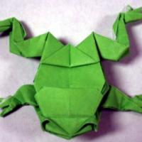 
<span>Frog with Toes</span>

