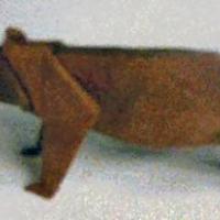 
<span>Bear</span>
