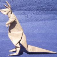 
<span>Kangaroo /Rock Wallaby/ Pademelon</span>
