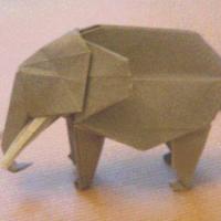 
<span>Elephant</span>
