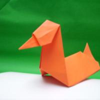 
<span>Duck</span>
