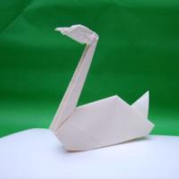 
<span>Swan</span>

