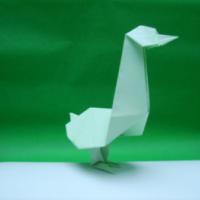 
<span>Goose</span>
