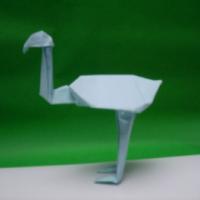 
<span>Flamingo</span>
