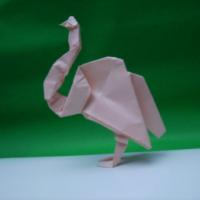 
<span>Heron</span>
