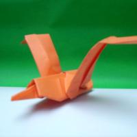 
<span>Seagull</span>
