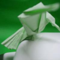 
<span>Hummingbird</span>
