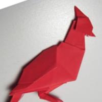 
<span>Cardinal</span>
