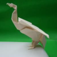 
<span>Cormorant</span>
