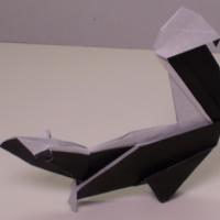 
<span>Skunk</span>
